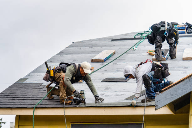 Professional Storm Damage Roof Repair technician working in East Flat Rock, NC